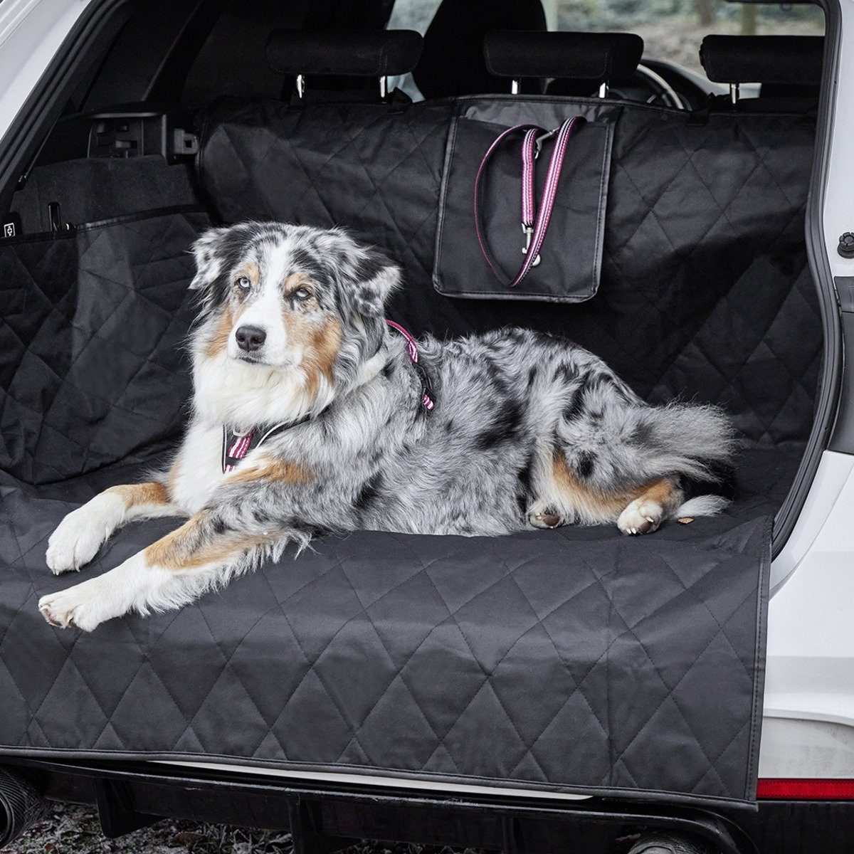 Wolters Tier-Kofferraumschutzdecke Clean Car Kofferraumdecke