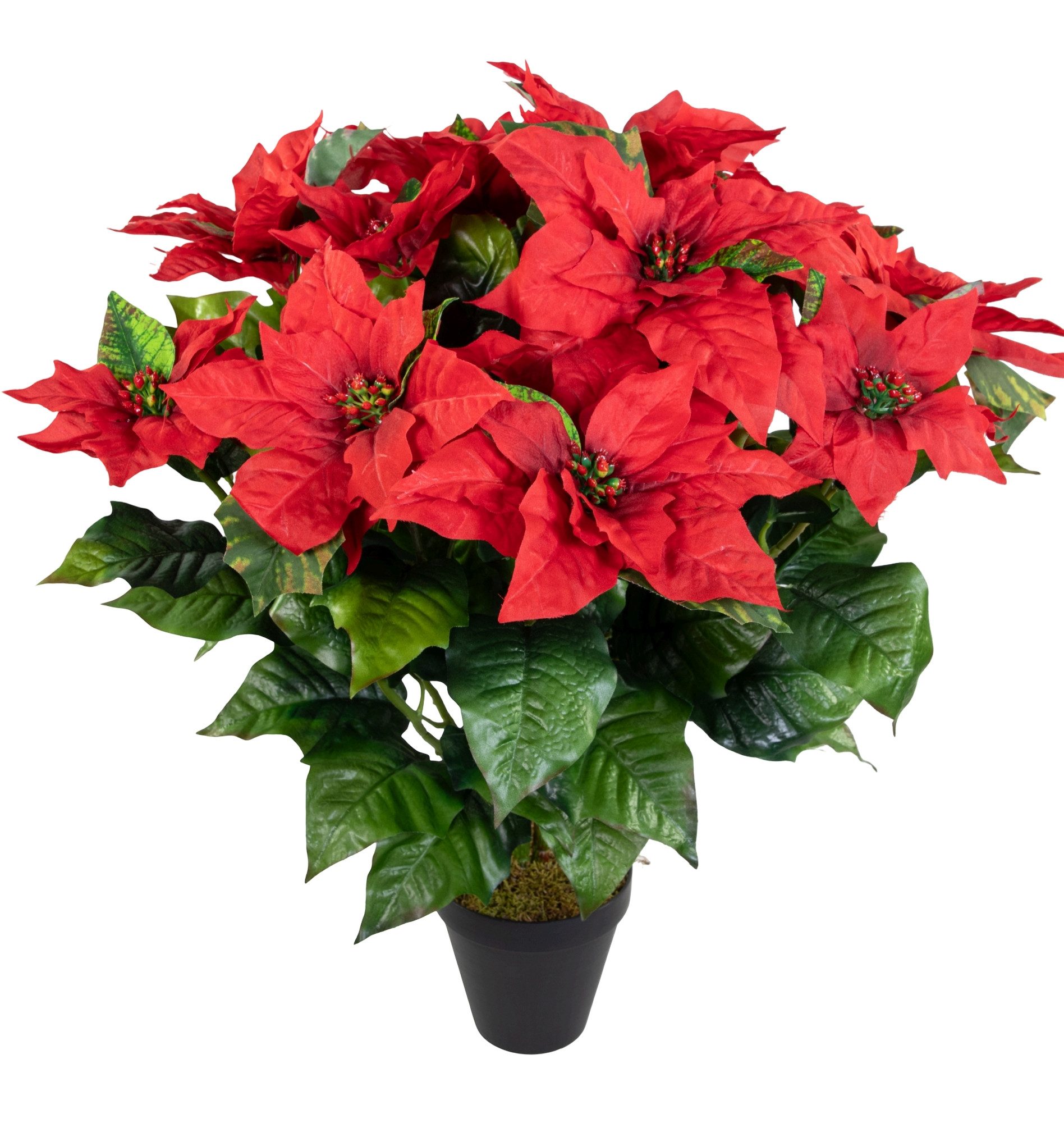 Kunstblume Weihnachtsstern 65x60cm im Topf rot günstig online kaufen