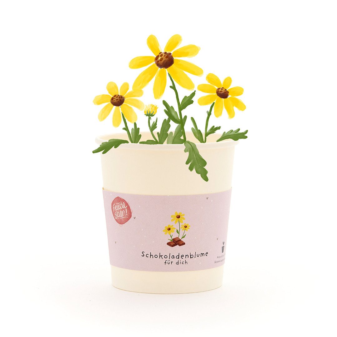 Anzuchttopf Schokoblumen-Anzuchtset als besonderes Geschenk, Geschenkidee