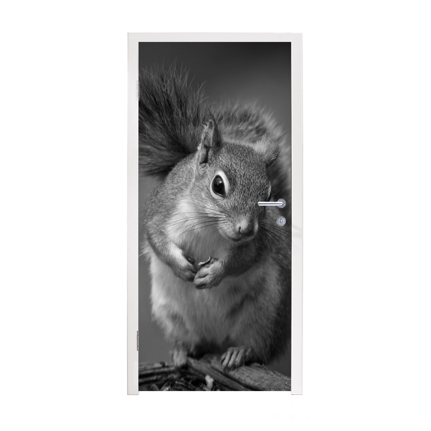 MuchoWow Türtapete Neugieriges Eichhörnchen in Schwarz und Weiß, Matt, bedruckt, (1 St), Fototapete für Tür, Türaufkleber, 75x205 cm | Türtapeten