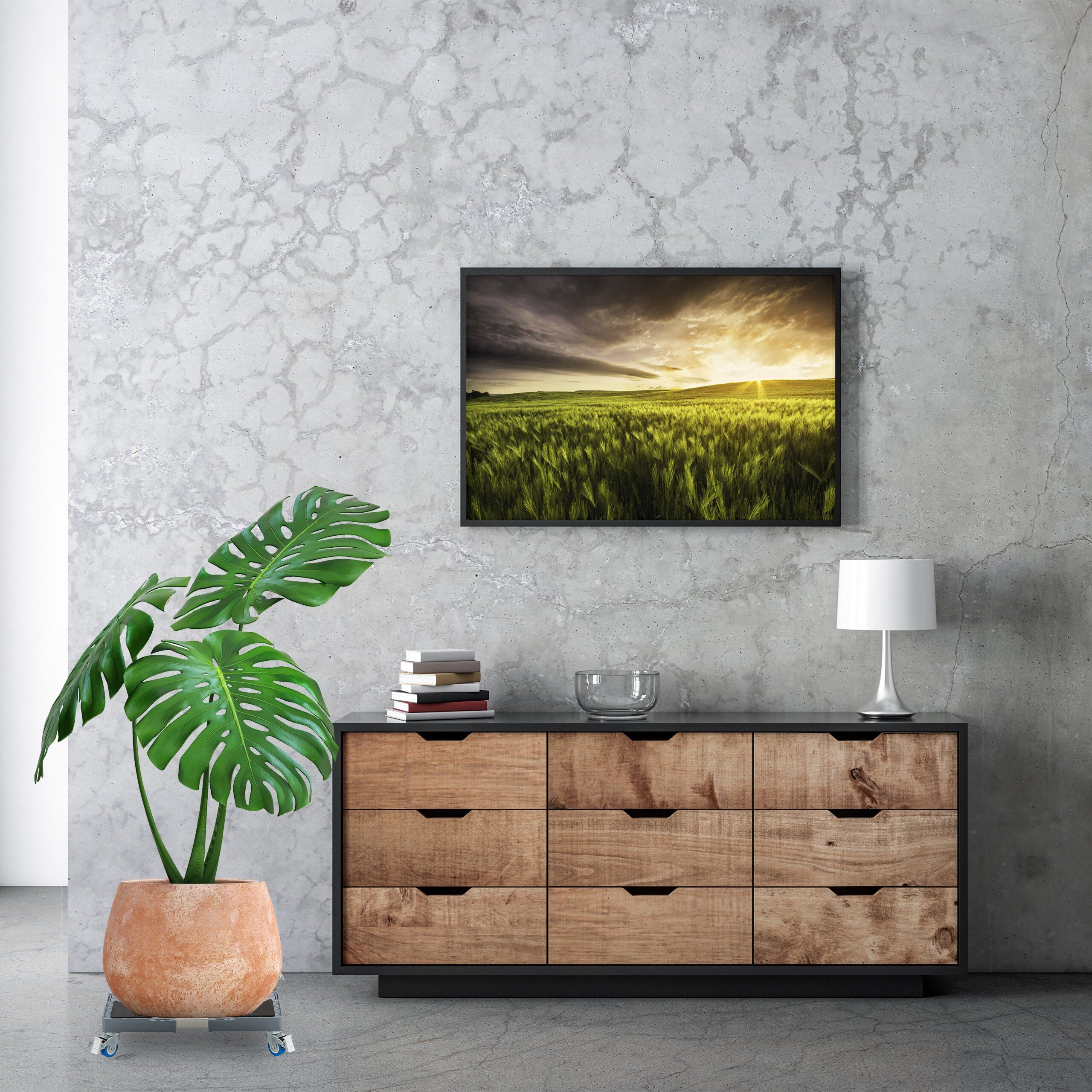 relaxdays Pflanzenroller Ausziehbarer Pflanzenroller eckig – Bild 5 von 5