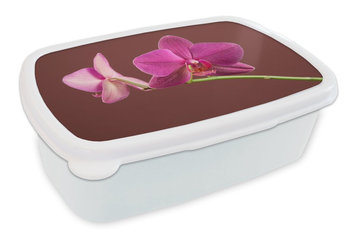 MuchoWow Lunchbox Blumen - Orchideen - Rosa, Kunststoff, (2-tlg), Brotbox für Kinder und Erwachsene, Brotdose, für Jungs und Mädchen weiß