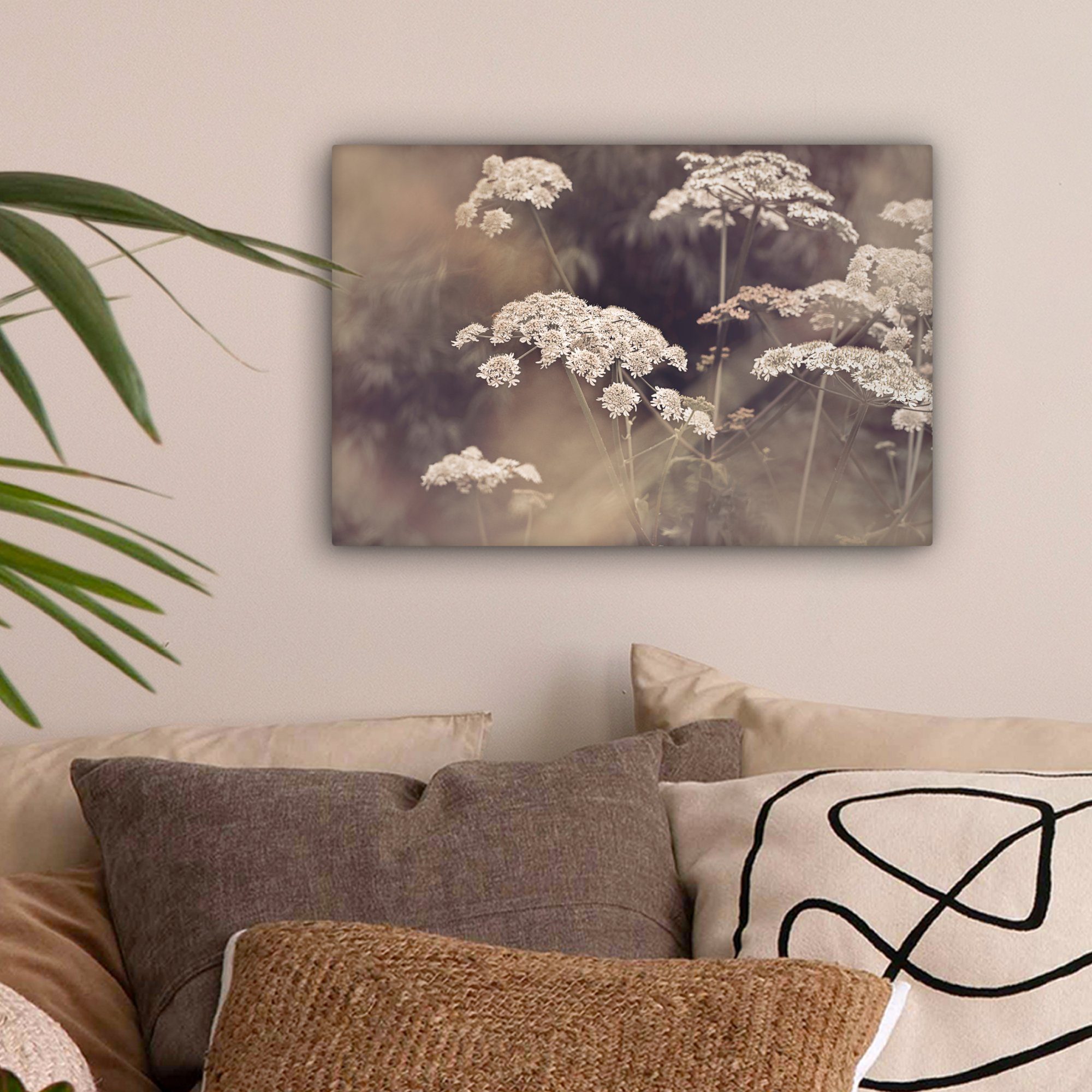 OneMillionCanvasses® Leinwandbild Pflanze - Weiß - günstig online kaufen