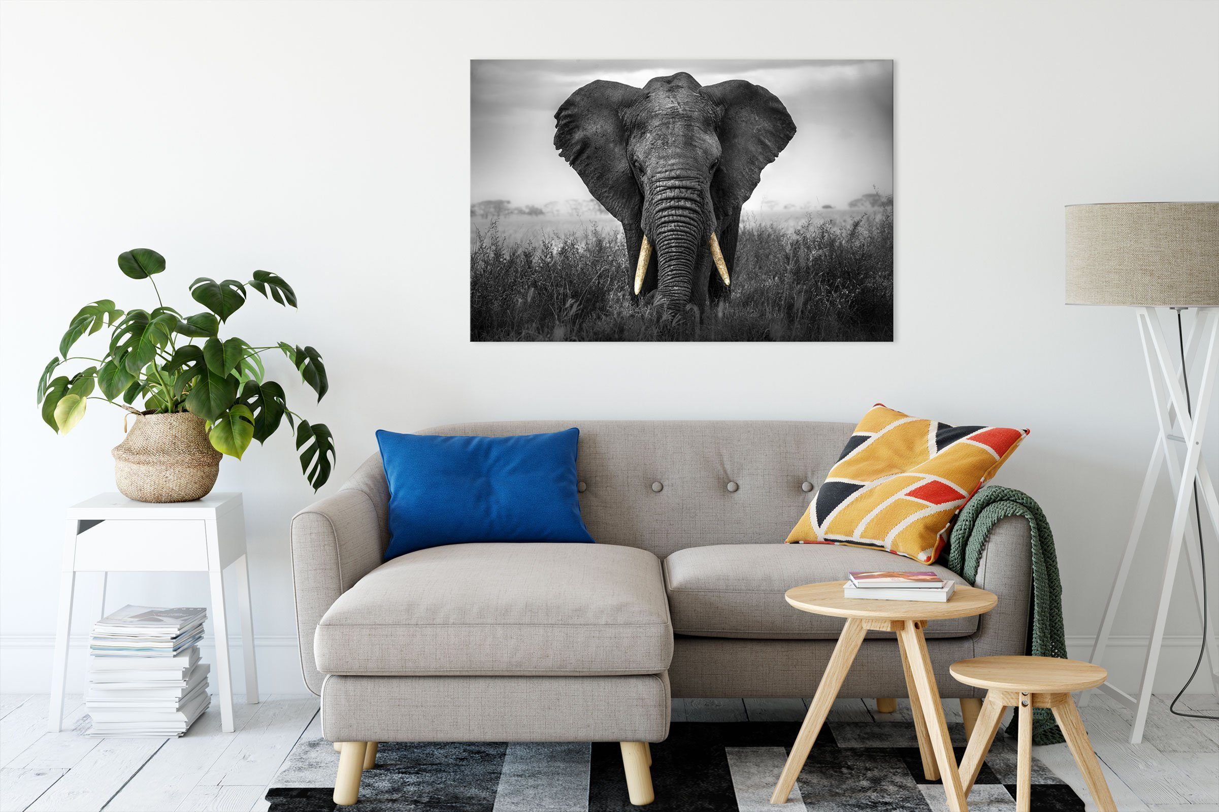 inkl. (1 Elefant, prachtvoller fertig Zackenaufhänger Pixxprint prachtvoller St), Leinwandbild Elefant bespannt, Leinwandbild