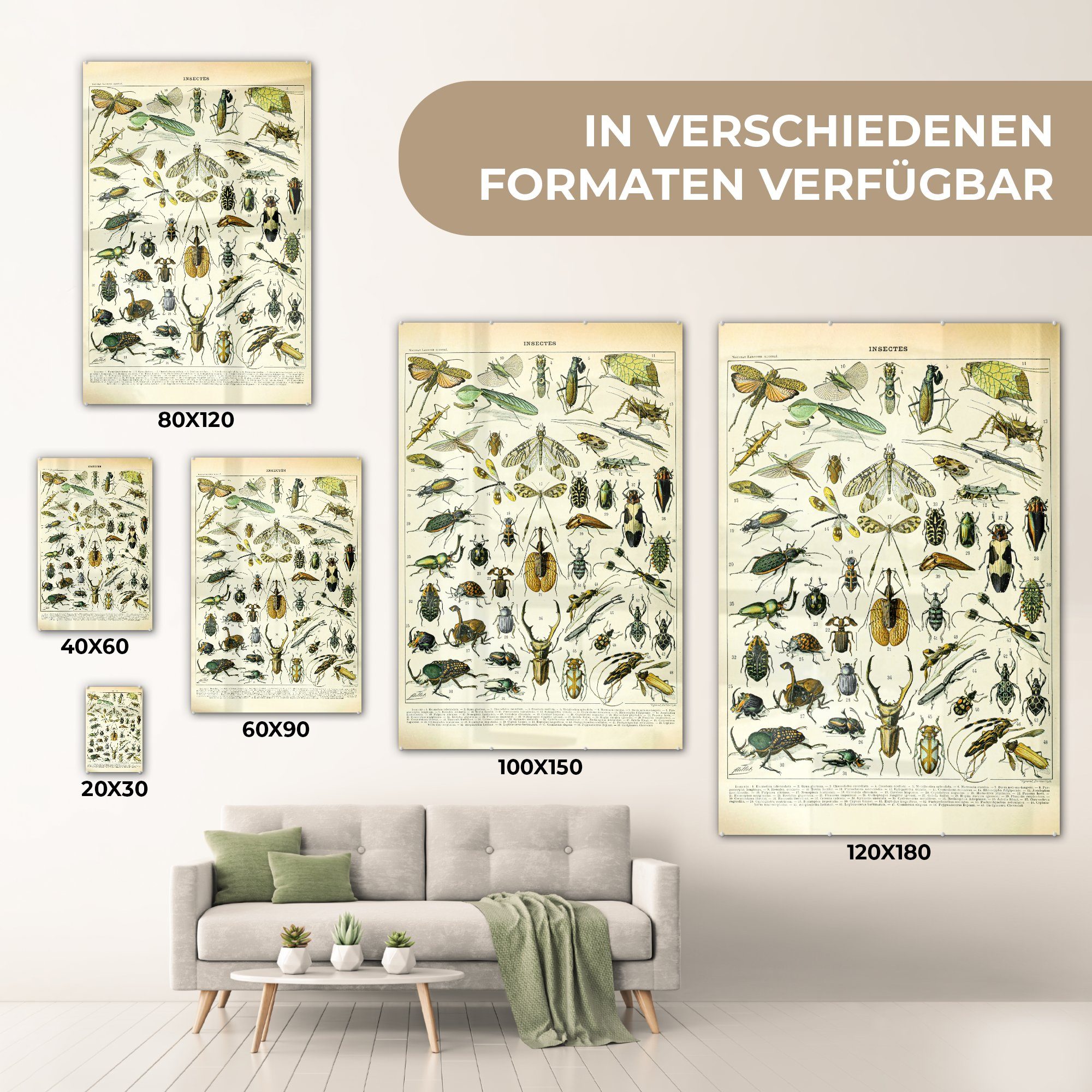 Wandbild St), (1 Glas auf - Bilder - Glas Acrylglasbild MuchoWow Tiere - Gestaltung, Wanddekoration auf - Foto - Glasbilder Insekten