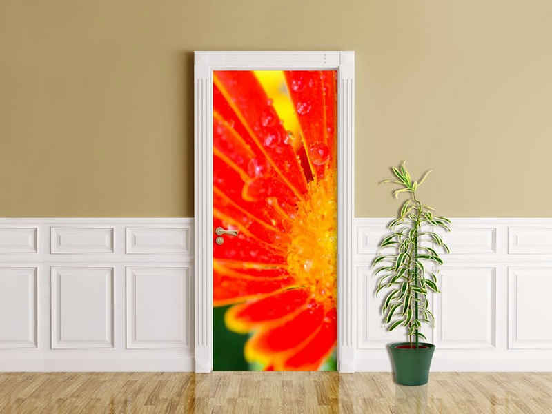 Bilderdepot24 Türtapete, orange Gerbera, selbstklebendes Vinyl