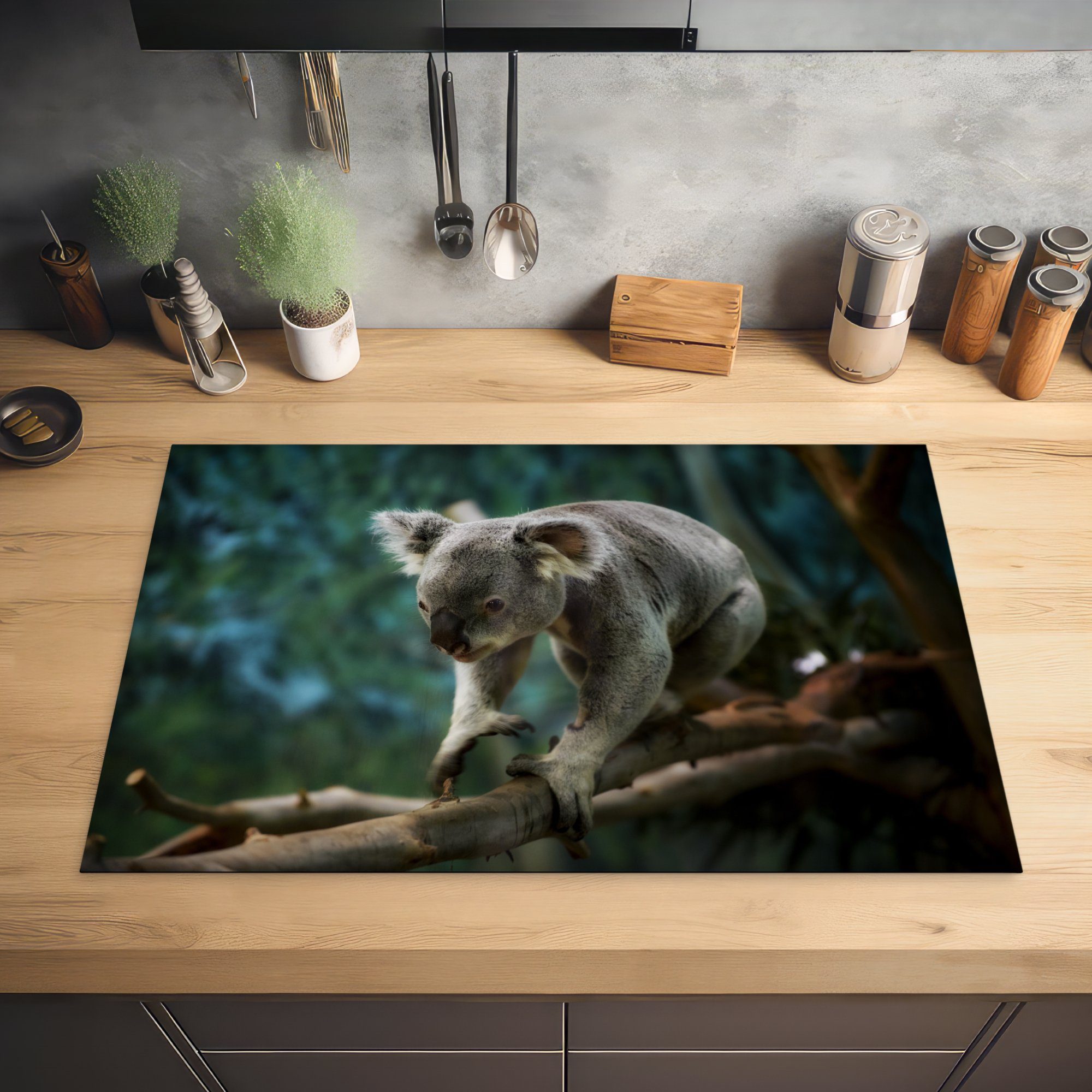 tlg), für - Australien, (1 - Induktionskochfeld 81x52 küche, Bumm Vinyl, Schutz cm, die MuchoWow Ceranfeldabdeckung Herdblende-/Abdeckplatte Koala