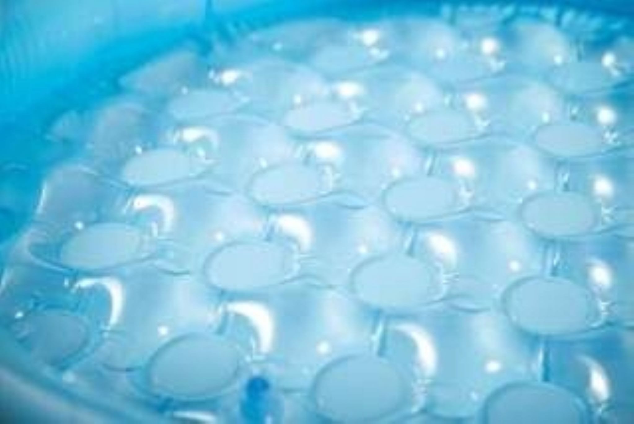 Festivalartikel Schwimmbecken Aufblasbarer Kinderpool Pilz mit günstig online kaufen