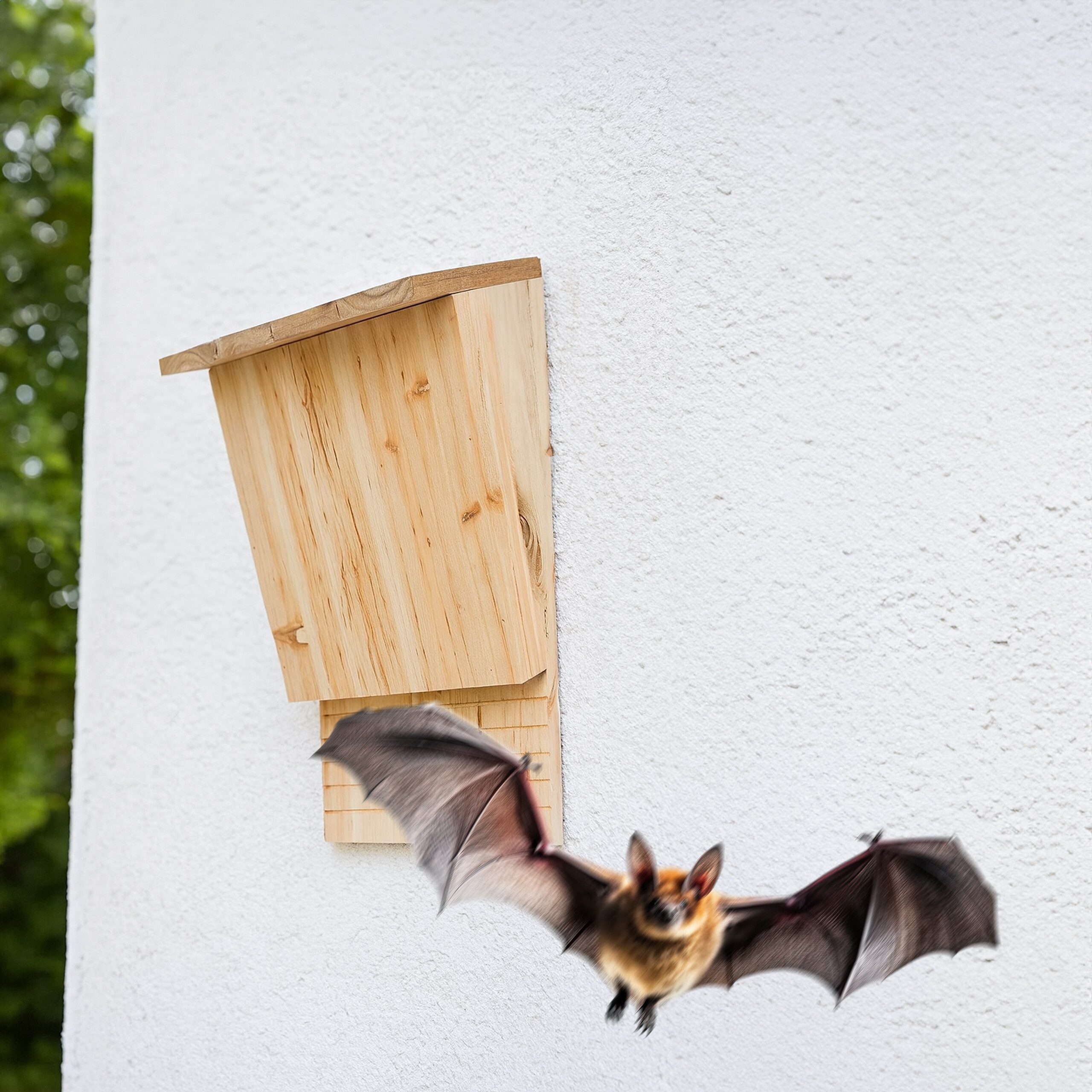 relaxdays Vogelhaus Fledermauskasten Holz 2er Set günstig online kaufen