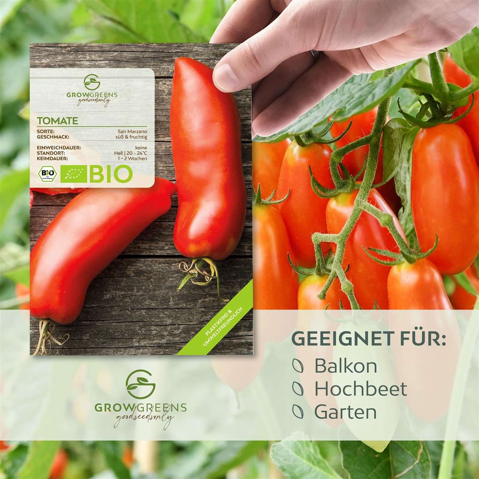 Growgreens Gemüsesamen BIO Tomatensamen (San Marzano) günstig online kaufen