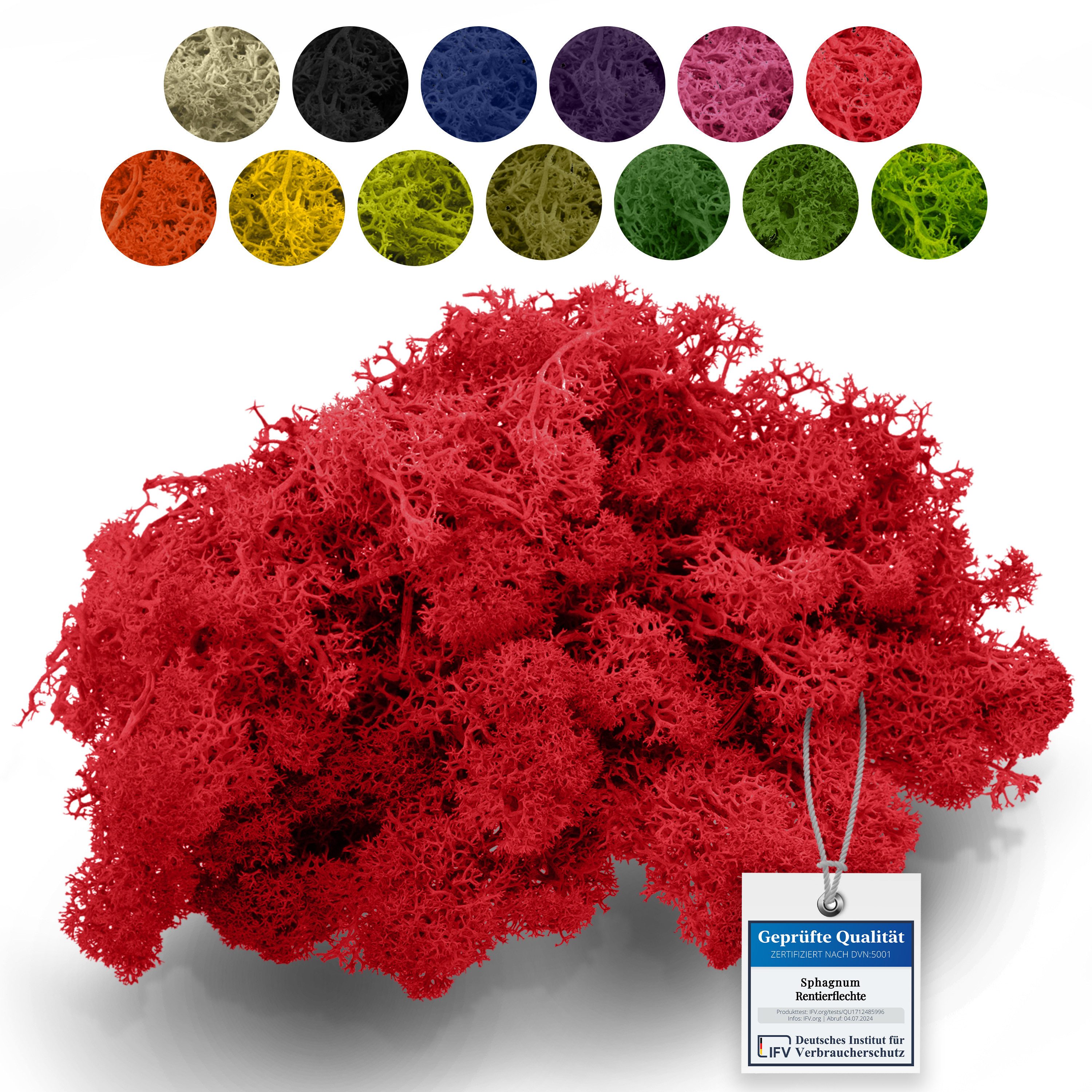 sphagnum-shop.com Bastelnaturmaterial Islandmoos Rentierflechte 500g, Echtes Moos zum Basteln & Dekorieren, Farbecht, Formstabil, Pflegefrei