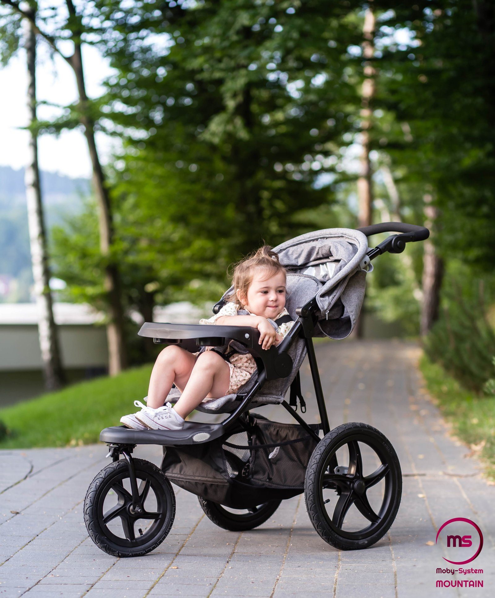 Moby-System Dreirad-Kinderwagen Babyjogger+Buggy 0m+ Moby-System MOUNTAIN