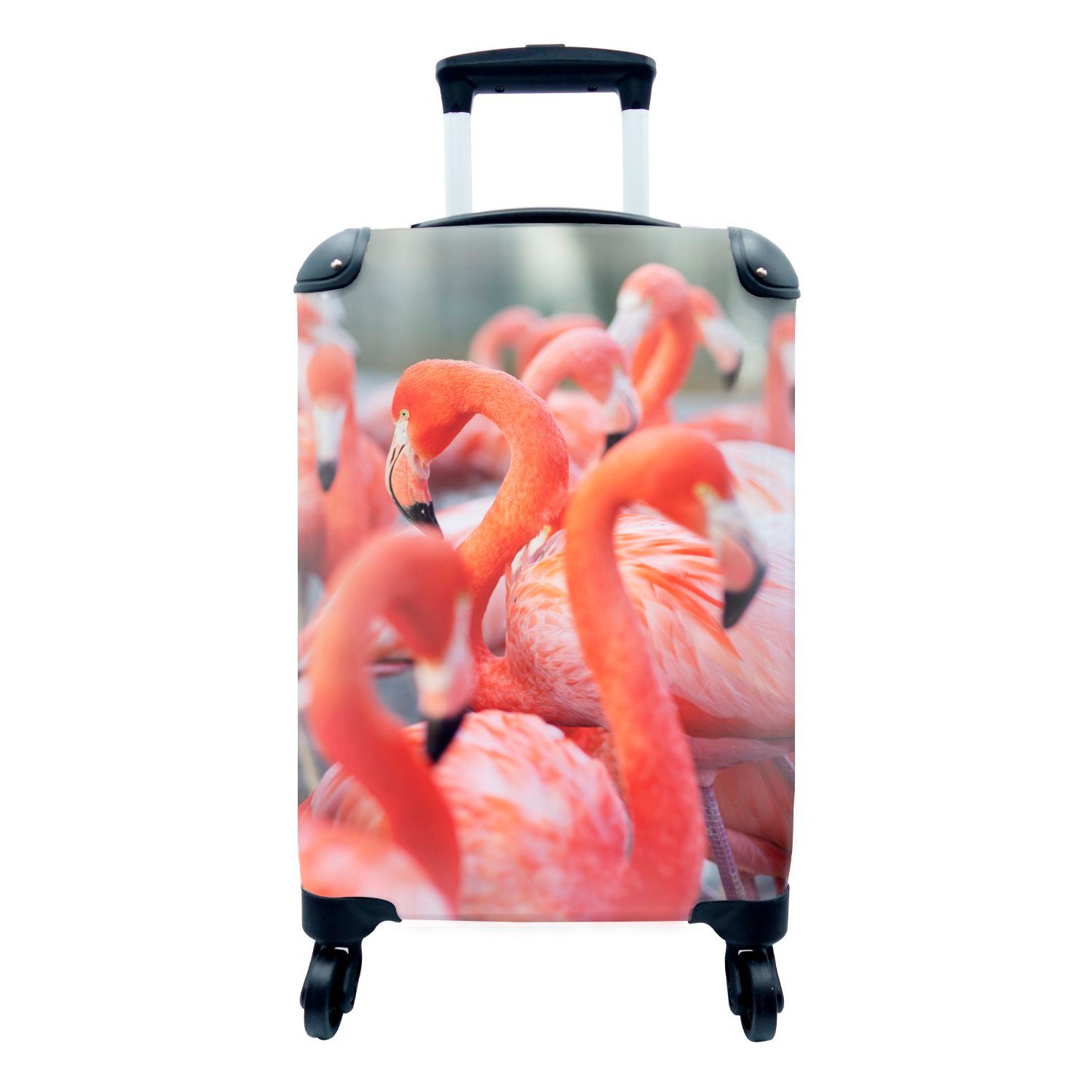 MuchoWow Handgepäckkoffer Gruppe von Flamingos auf der Suche nach Nahrung, 4 Rollen, Reisetasche mit rollen, Handgepäck für Ferien, Trolley, Reisekoffer