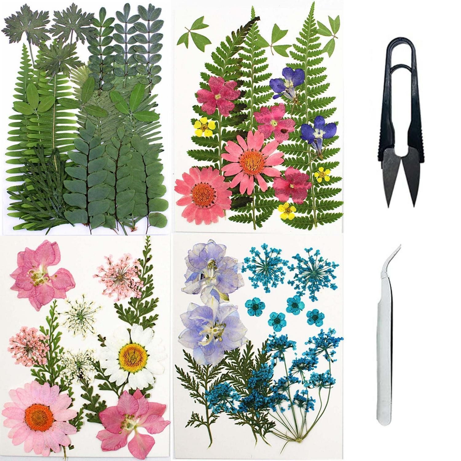 Trockenblume Getrocknete Blumen & Blätter Set Grün Rosa Blau, LuxusKollektion, Höhe 1 cm