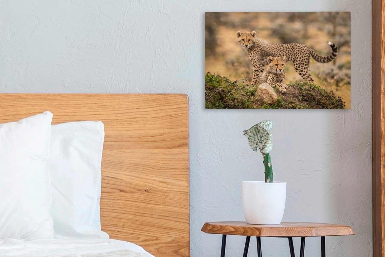 OneMillionCanvasses® Leinwandbild Natur, St), Wanddeko, (1 Aufhängefertig, 30x20 Jungtier Wandbild Leopard - Leinwandbilder, - cm