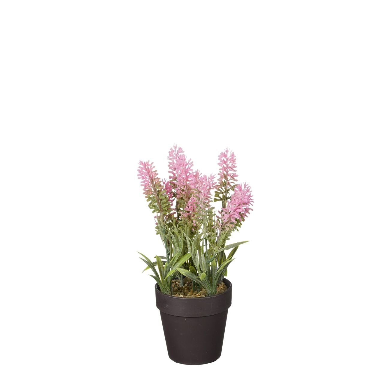 Mica Decorations Lavendel x cm, 10 im künstlicher 24 Topf Mica Kunstpflanze rosa