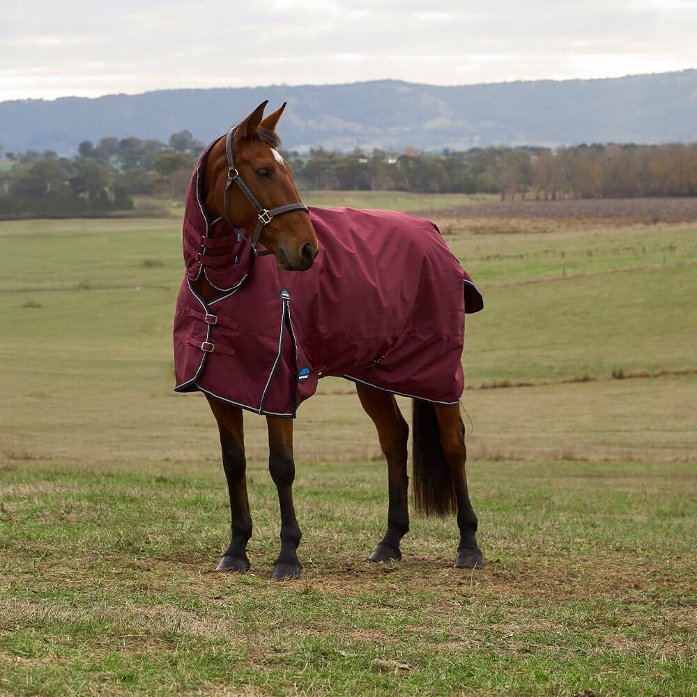 WeatherBeeta Pferde-Regendecke Weatherbeeta Comfitec Prelim Turnout Combo 0g