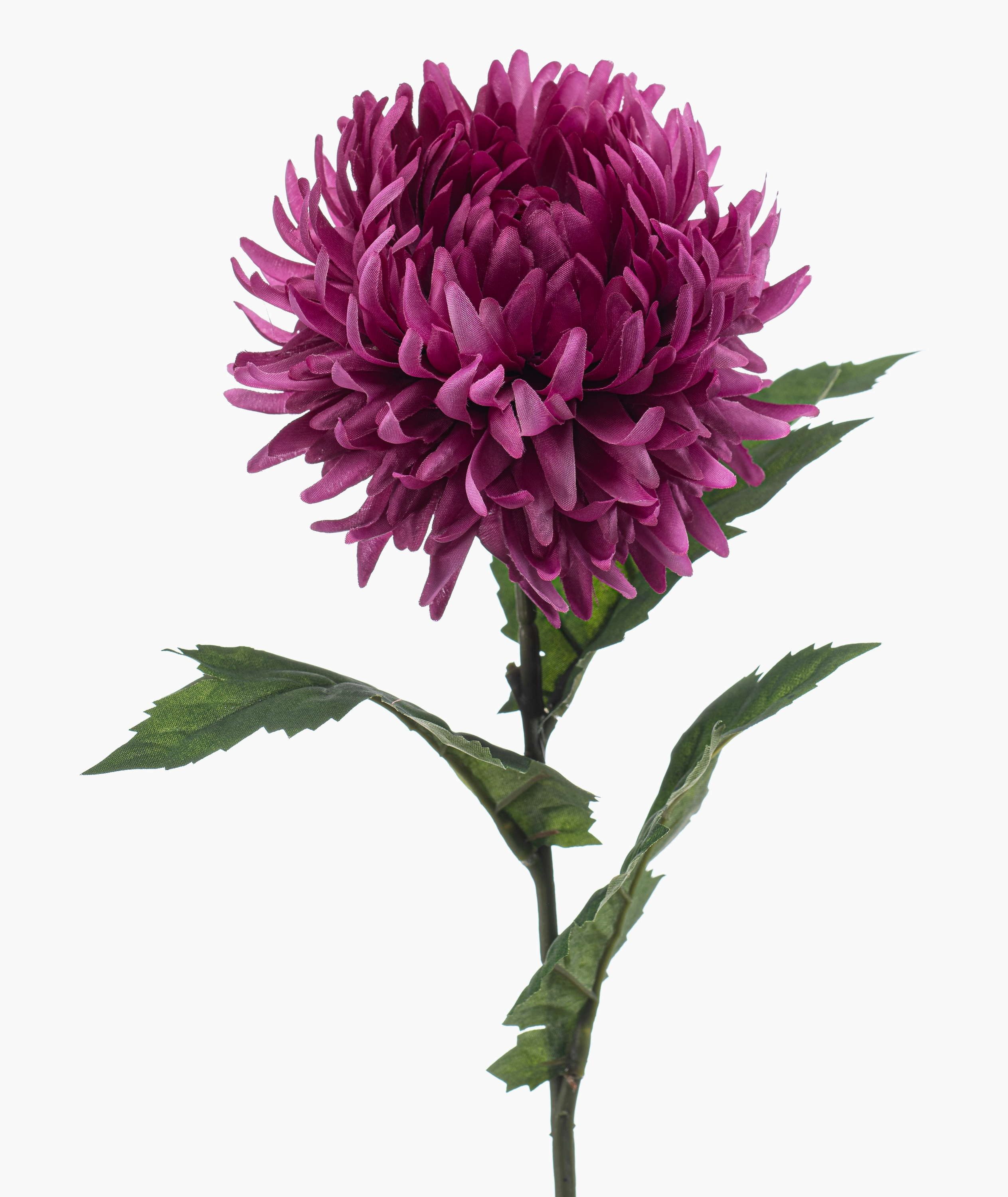 Kunstblume Chrysantheme SAXLER, lila, 55cm - Künstliche Winte Chrysantheme, artplants, Höhe 60.0 cm