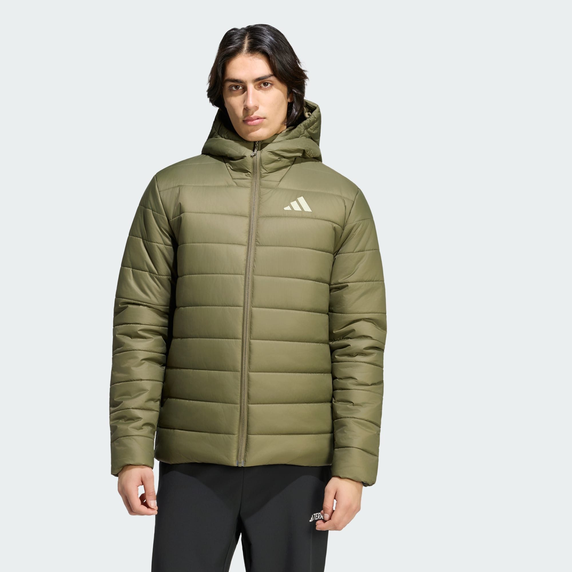 adidas TERREX Funktionsjacke (1-St)