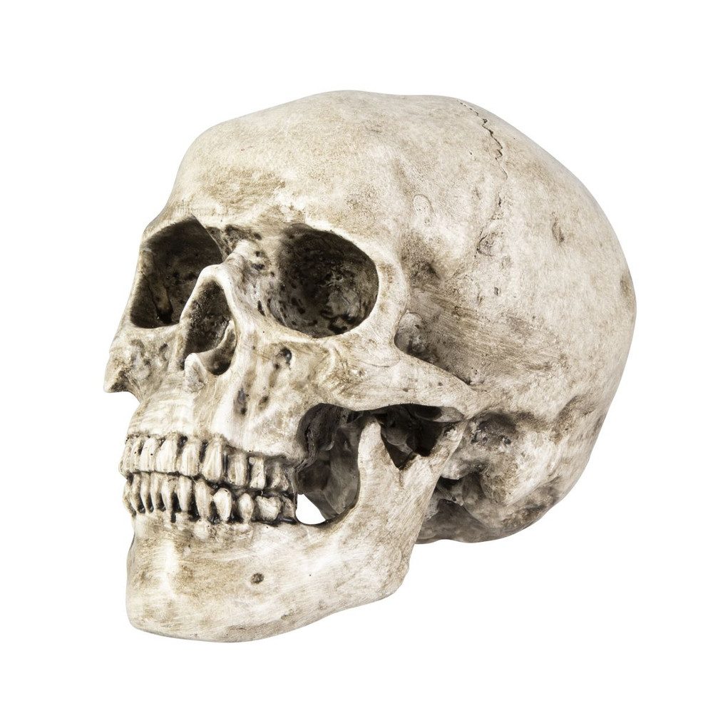 MICA Dekofigur Totenkopf - altweiß - günstig online kaufen