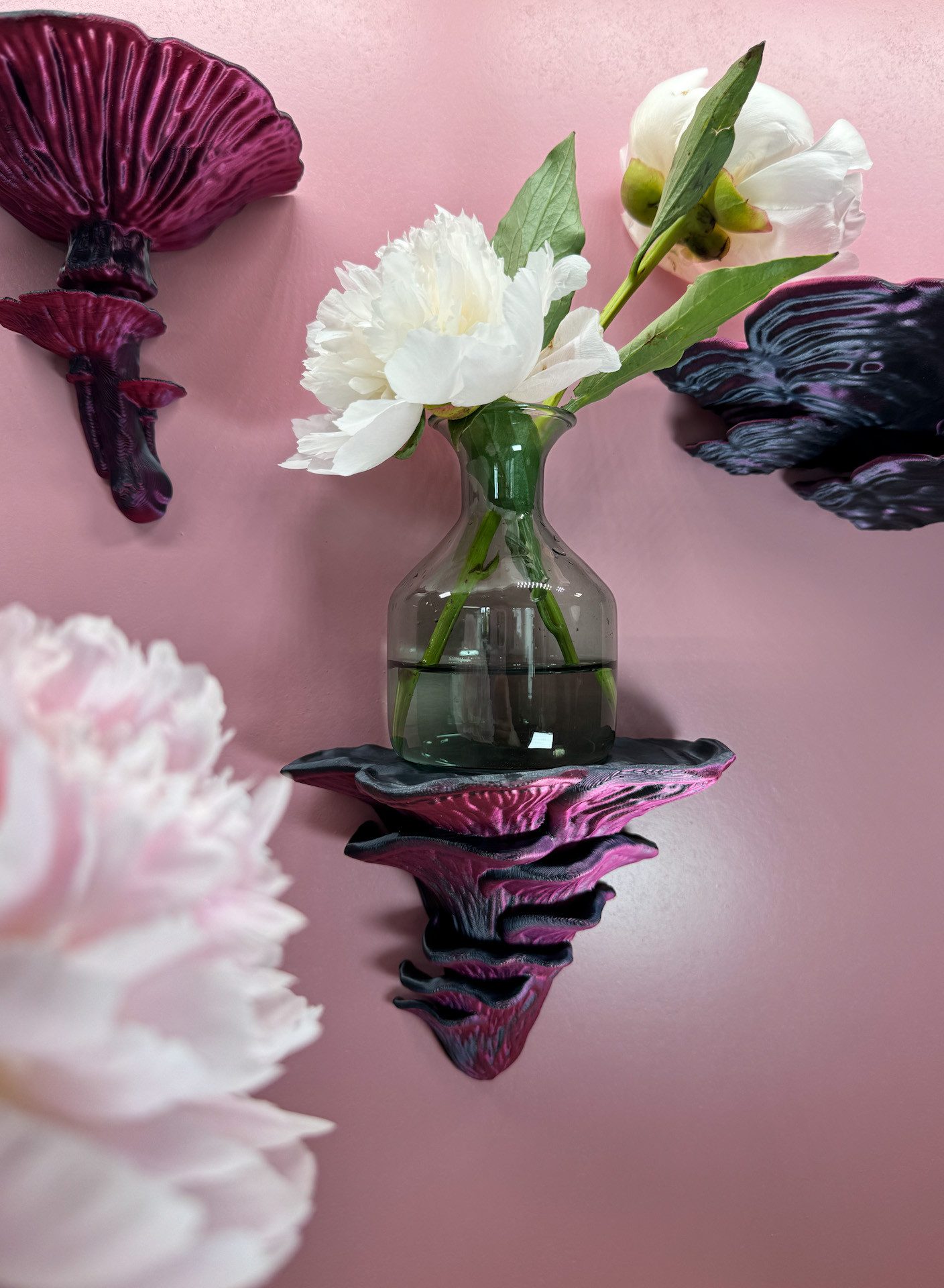 Roomberry Deko-Wandregal Pilz Wandregal Set + günstig online kaufen