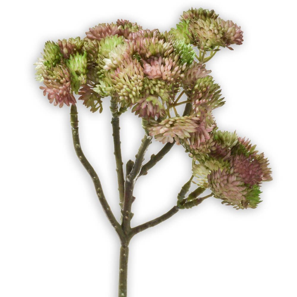 Stk matches21 cm Kunstpflanze 30 cm, 1 Fetthenne & hellgrün HOBBY, HOME Indoor Höhe Dekopflanze 30 Kunstblume Fetthenne,