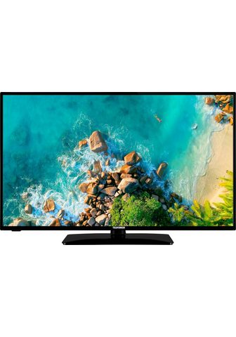 D32F553M1CW LED-Fernseher (80 cm / (32...
