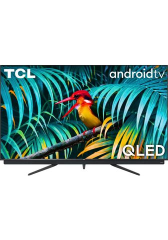 55C815 QLED-Fernseher (139 cm / (55 Zo...