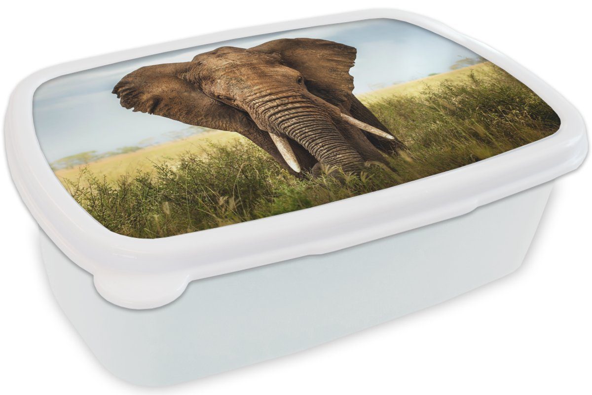 Vorderansicht, MuchoWow für Lunchbox Kinder (2-tlg), Brotdose, Elefant und Afrikanischer weiß für und Kunststoff, Jungs Mädchen Erwachsene, Brotbox
