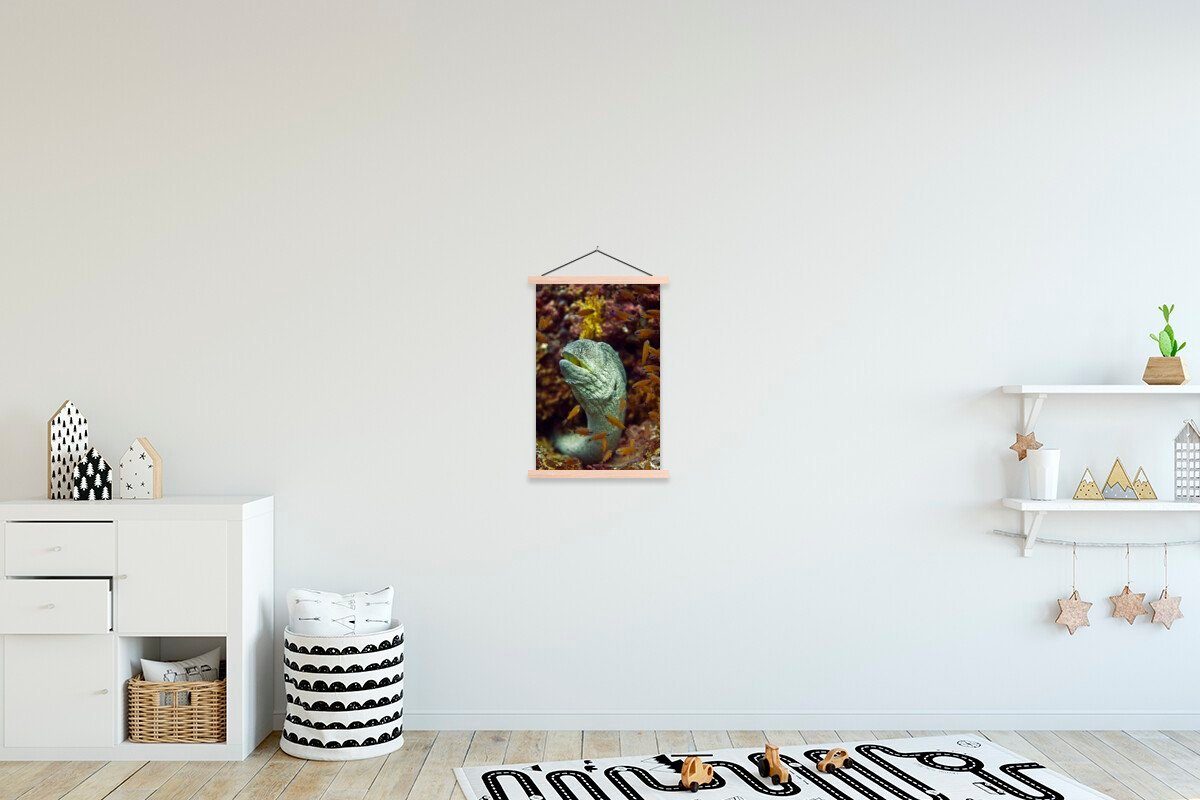 MuchoWow Poster Fische - Korallen - Ozean, (1 St), Posterleiste, Textilposter für Wohnzimmer, Bilderleiste, Magnetisch