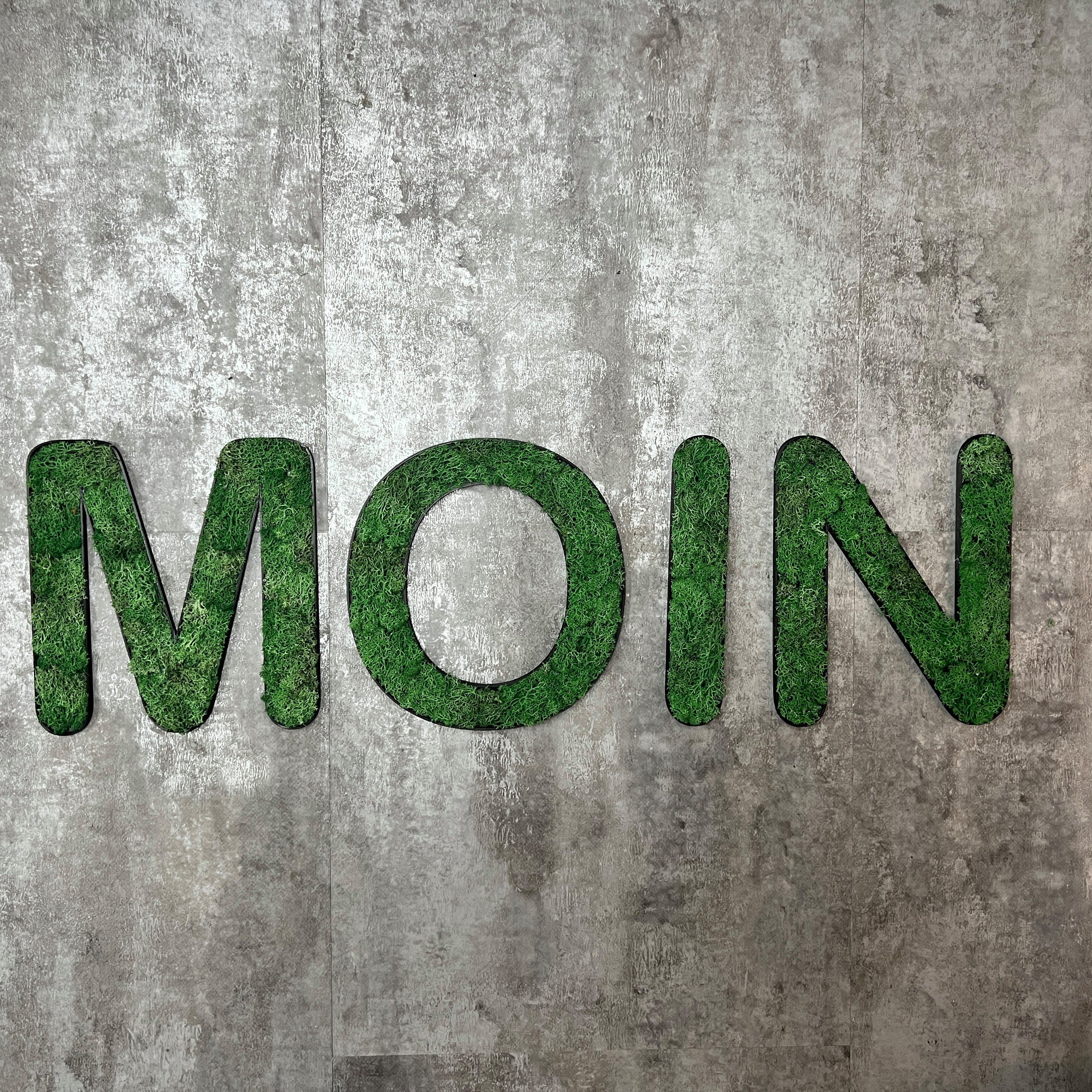 dixtime Wanddekoobjekt Islandmoos – Set MOIN, Immergrün das ganze Jahr - 0% Pflege! grasgrün