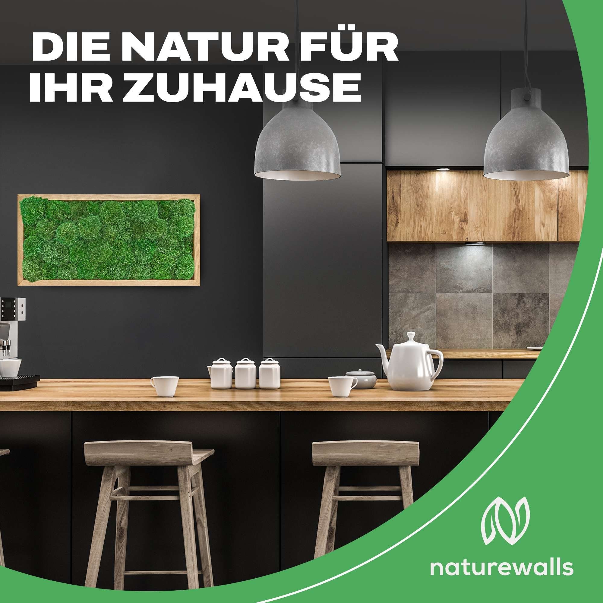 naturewalls Bild Moosbild Kugelmoos - Pflanzenbild günstig online kaufen