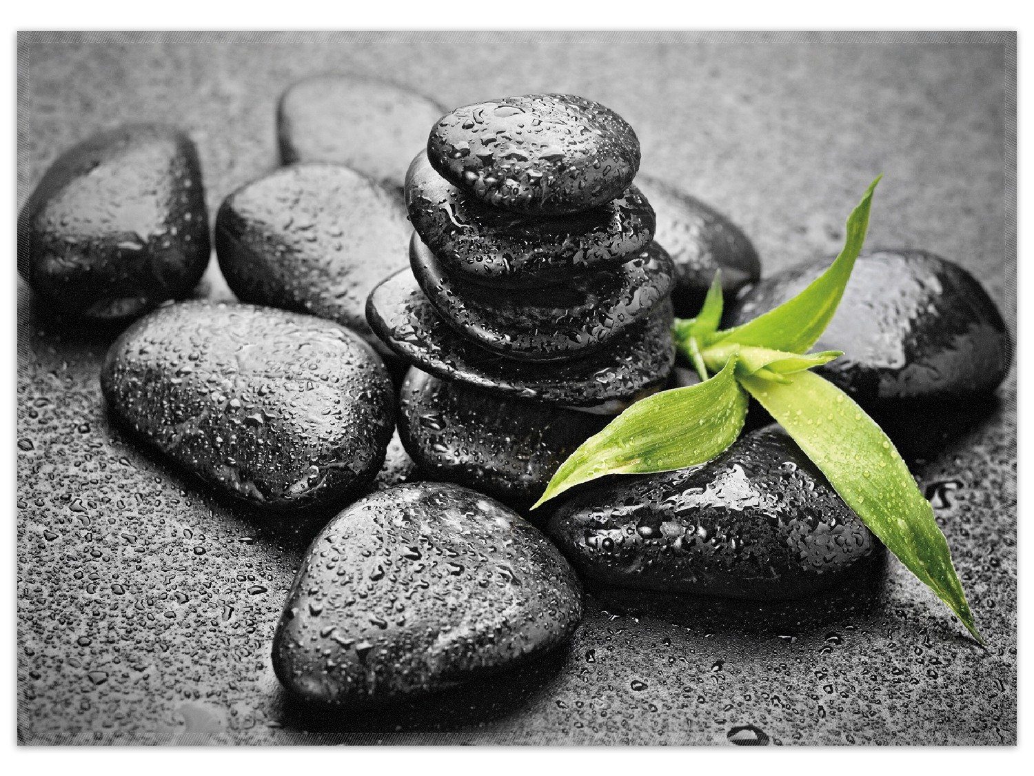 Wallario Teppich Bambustrieb auf schwarzen Steinen, benetzt mit Wasser-Tropfen, rechteckig, rutschfest