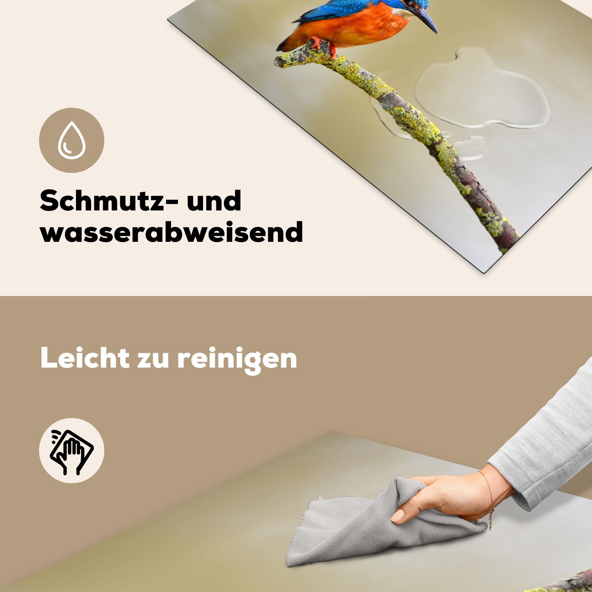 Schutz Zweig, Herdblende-/Abdeckplatte - Vogel 81x52 für Induktionskochfeld Ceranfeldabdeckung die küche, Eisvogel (1 Vinyl, cm, tlg), MuchoWow -