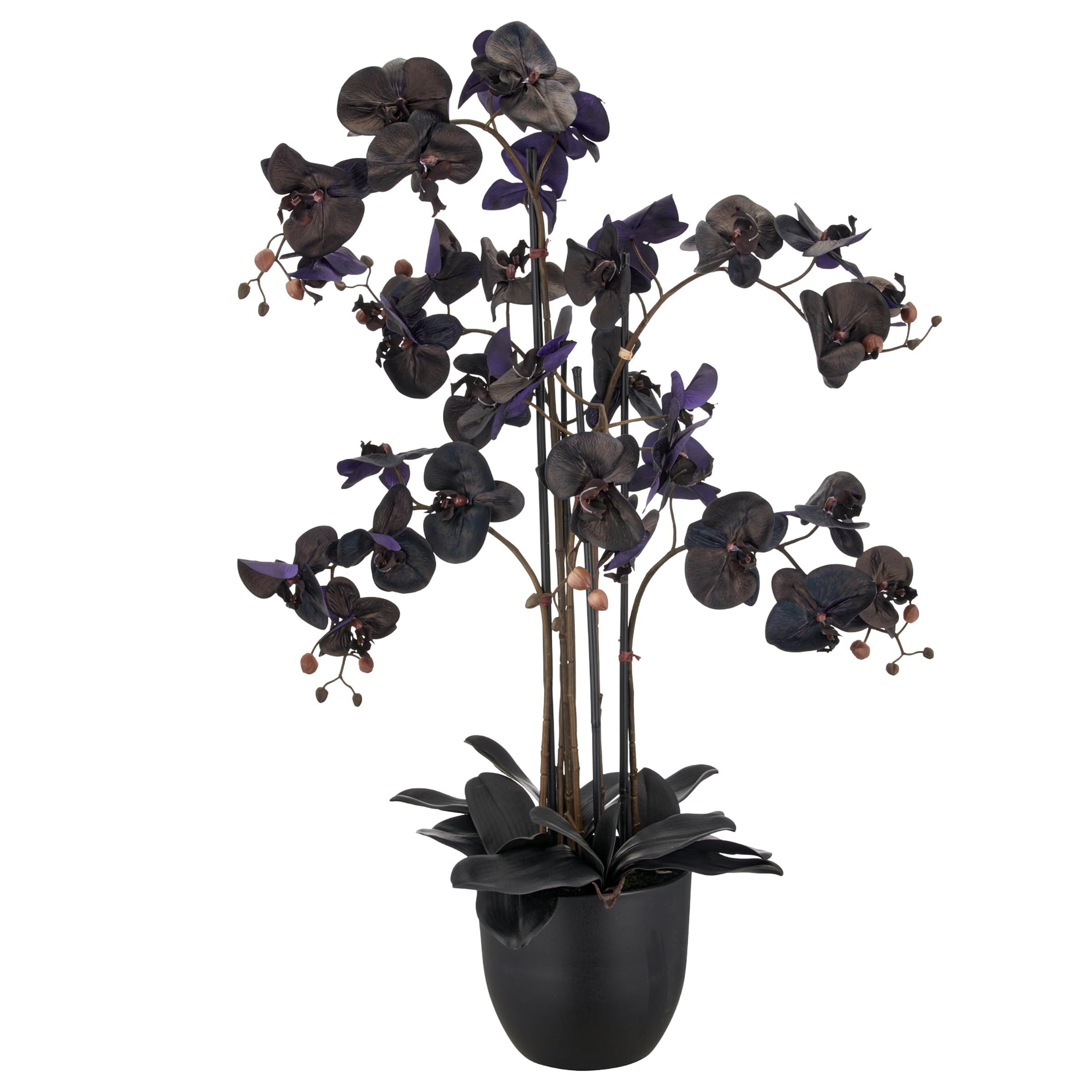 Kunstblume Orchidee Real Touch 100x60cm schwarz im Topf GA, Seidenblumen Roß, Höhe 100,00 cm