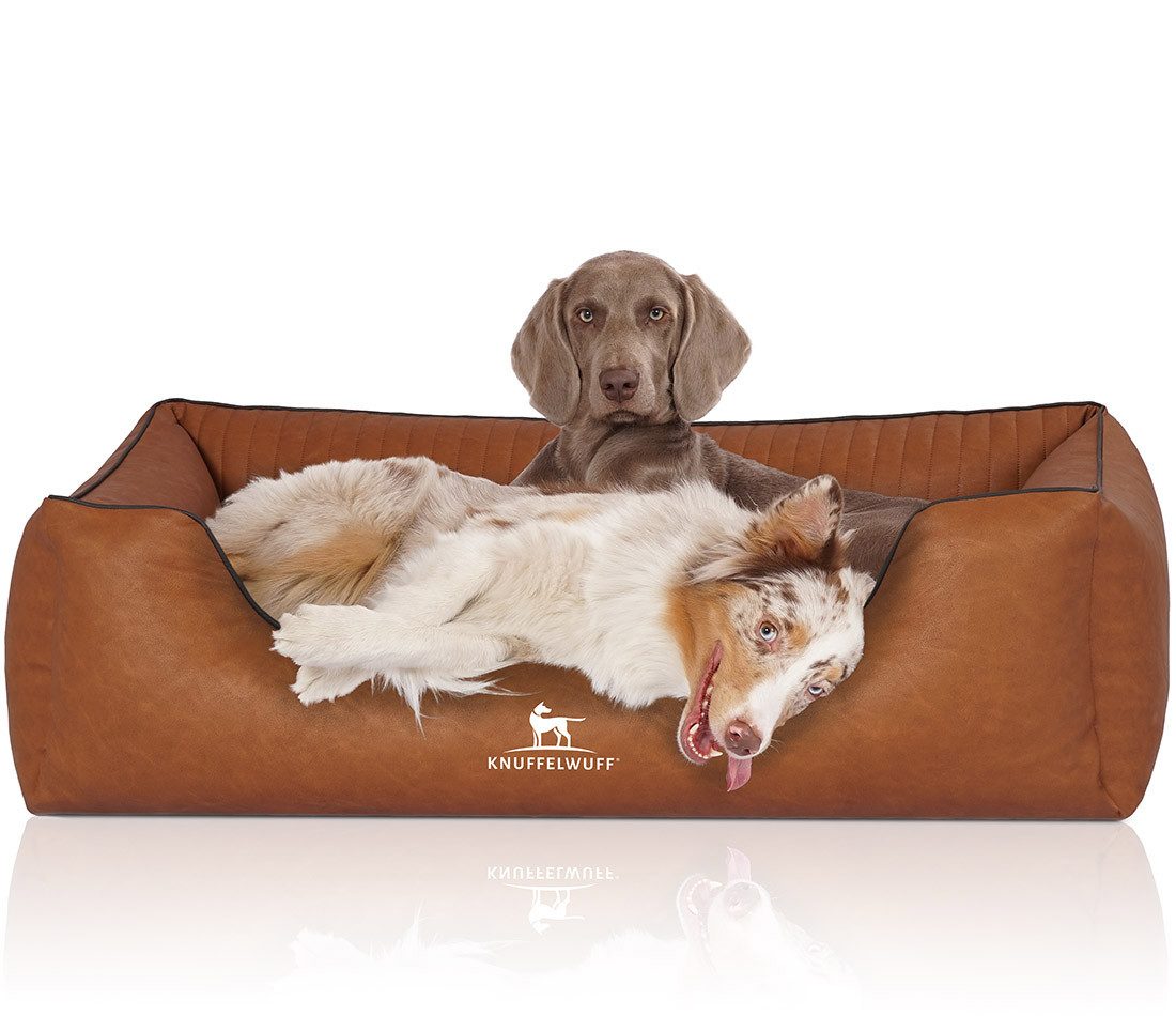 Knuffelwuff Tierbett Hundebett Chesapeak, Orthopädisch