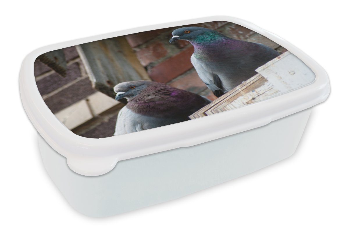 MuchoWow Lunchbox Zwei Tauben auf dem Rand eines Holzgebäudes, Kunststoff, (2-tlg), Brotbox für Kinder und Erwachsene, Brotdose, für Jungs und Mädchen weiß