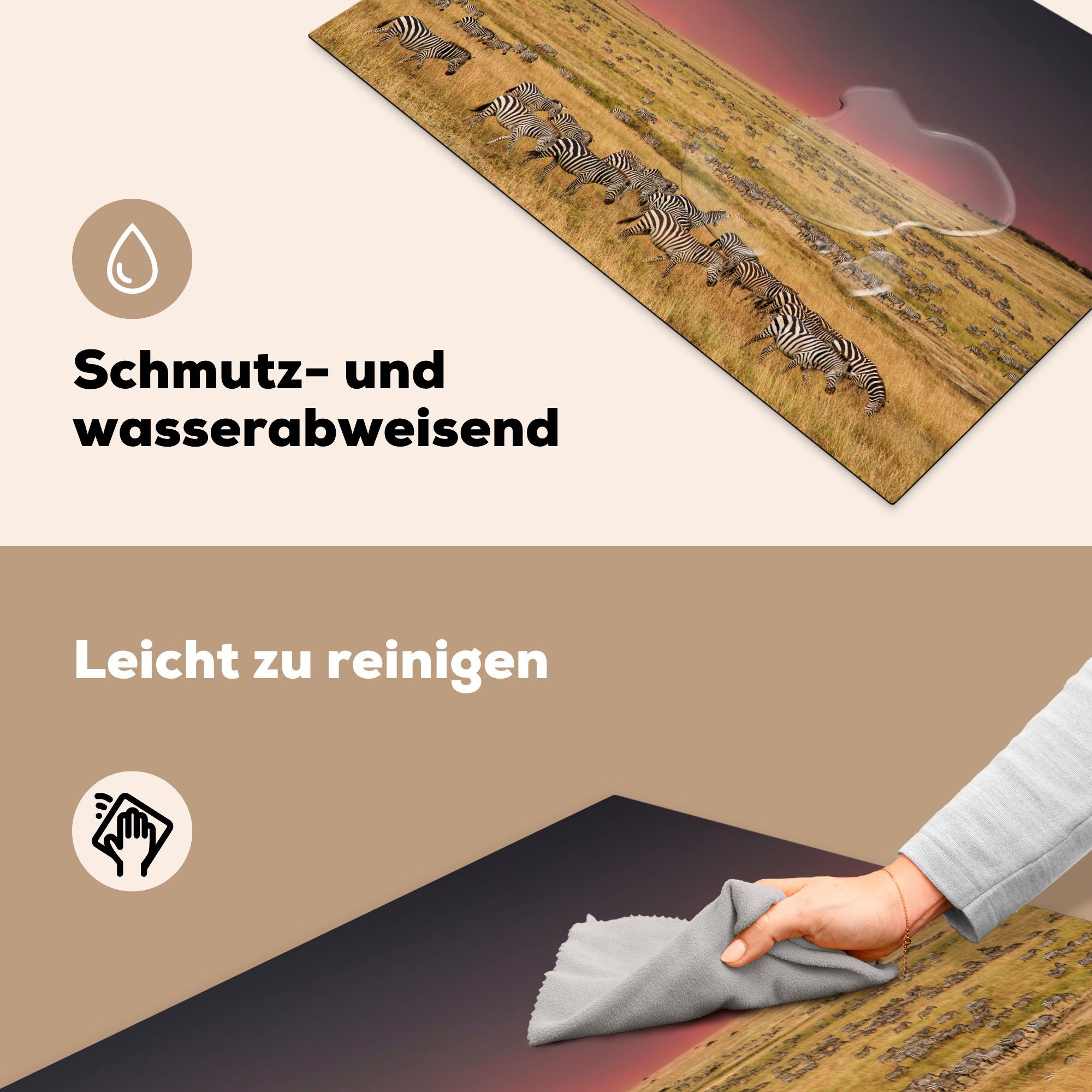 MuchoWow Herdblende-/Abdeckplatte Eine große Sonnenaufgang bei Vinyl, der 81x52 in (1 Zebras tlg), Induktionskochfeld Schutz Ceranfeldabdeckung steht die Herde für cm, Savanne, küche