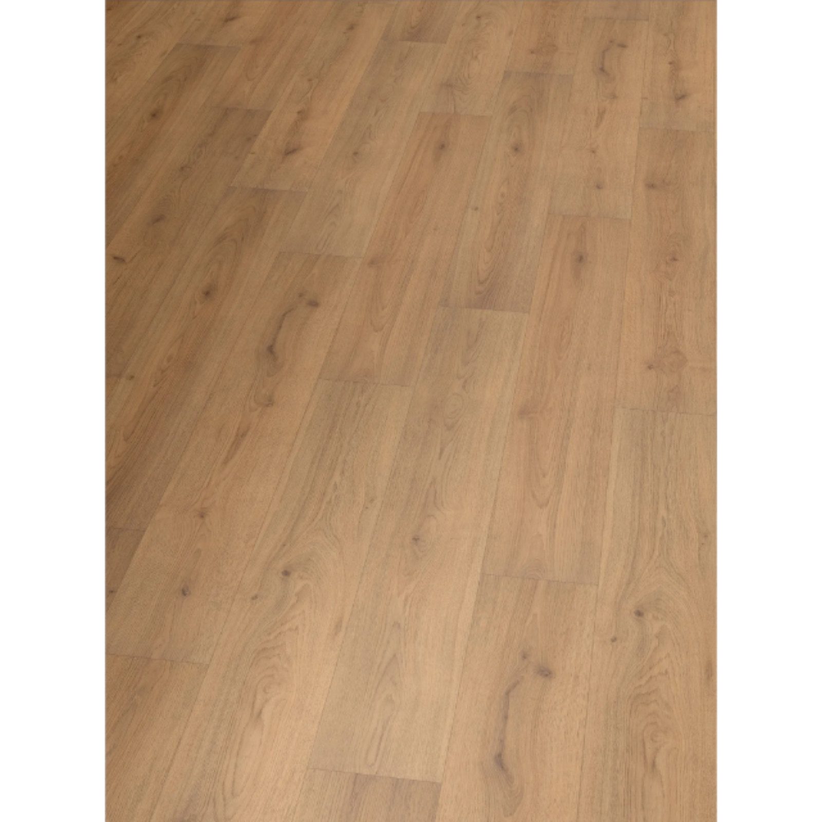 Hori Laminat HORI Laminat Holz, Boden günstig online kaufen
