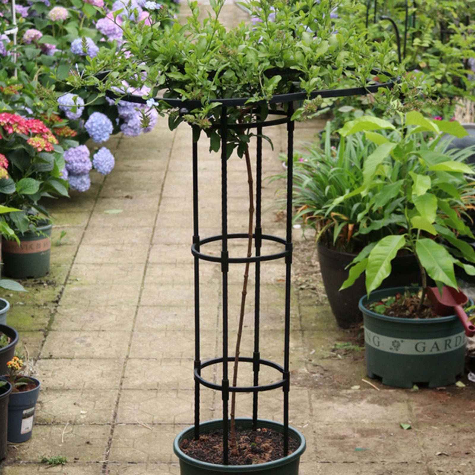 GarveeMore Zaunpfosten Garten Rundspalier Schwarzer Stahlrahmen Schirm Spalier TurmVertikaler, 150cm Garten Kletterturm Garten Kletterpflanze Stützstruktur Lebe – Bild 4 von 5