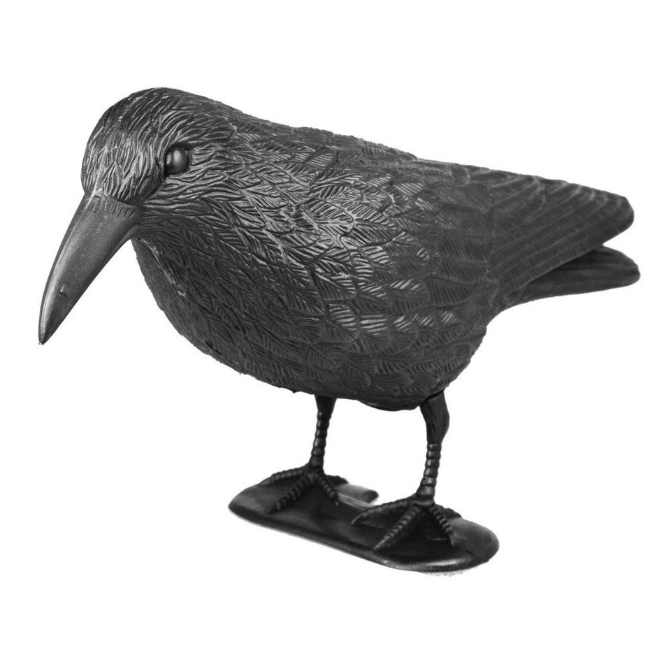 Juoungle Ornament Taubenschreck Rabe Schwarze Vogelattrappe zur Abwehr von  Tauben