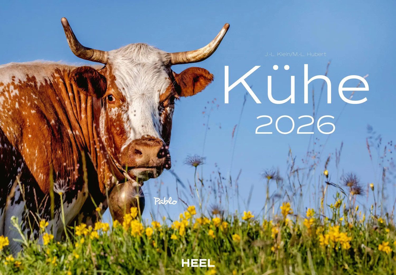 HEEL Verlag Wandkalender Kühe Kalender 2026 Wandkalender