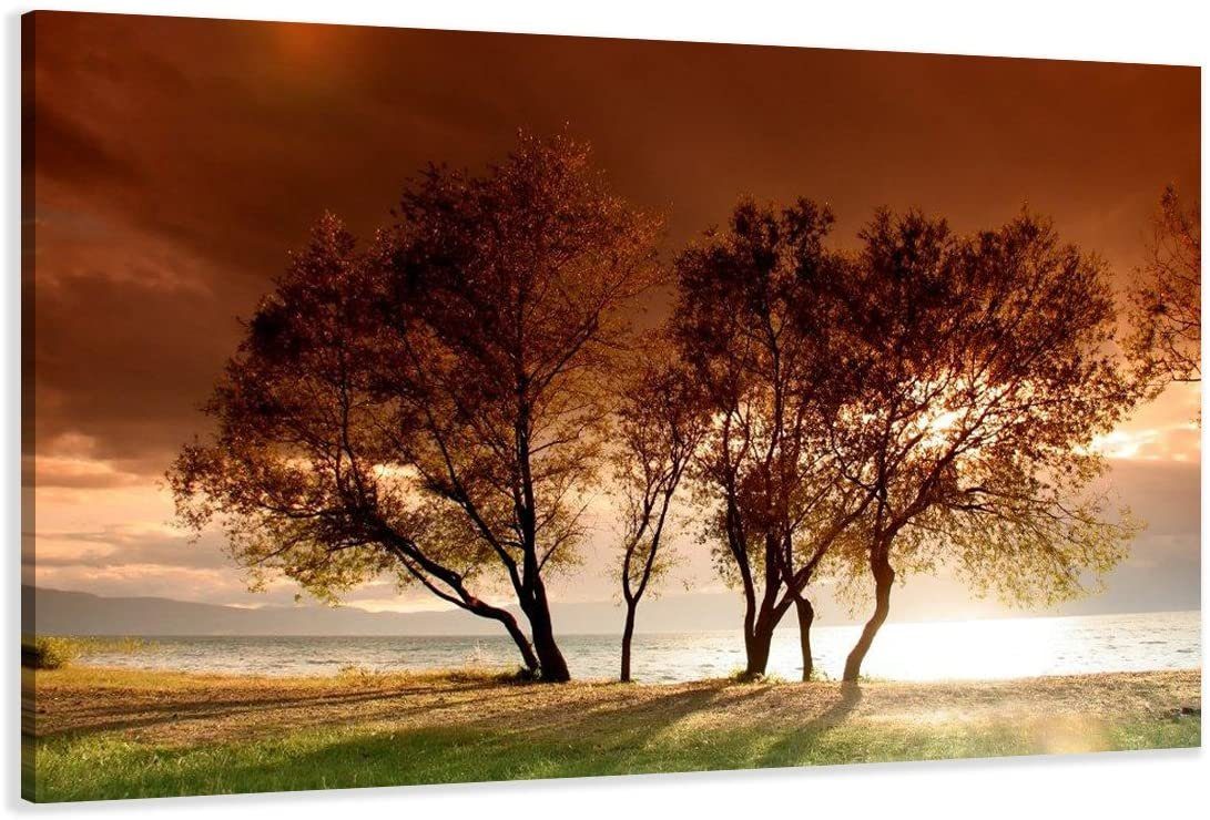 Visario Bild Bild auf Leinwand fertig günstig online kaufen