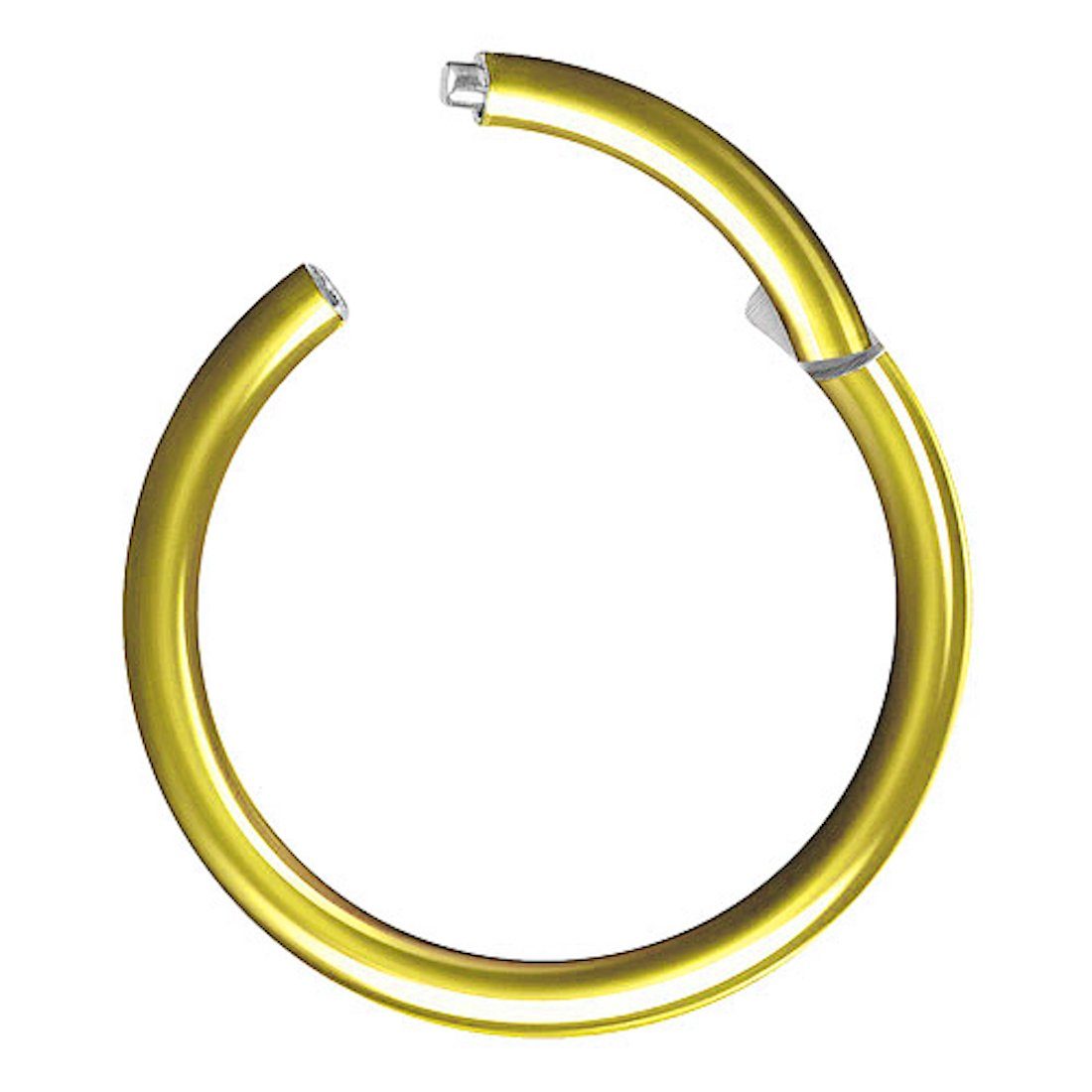 Taffstyle Nasenpiercing Clicker Ohr Universal Piercing Titan G23 oder Chirurgenstahl (Vielseitiger Segmentring aus Titan oder Chirurgenstahl in vielen Farben und Größen), Scharnier Klicker für Septum Ohr Nase Lippe