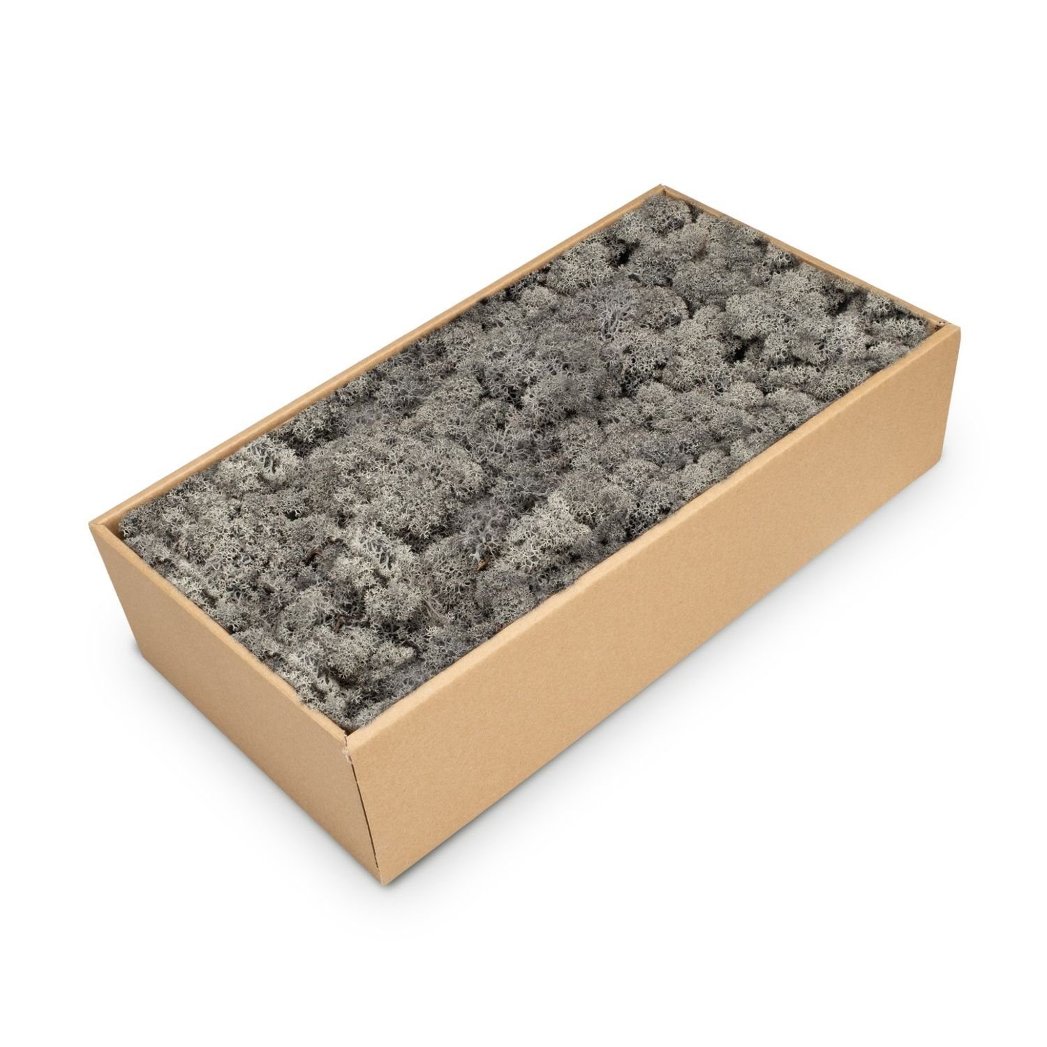 Bastelnaturmaterial Islandmoos Anthrazit, konserviert, verpackt im Karton mit ca. 500g