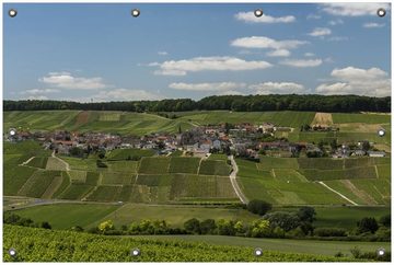 Wallario Sichtschutzzaunmatten Panoramablick über die Champagne