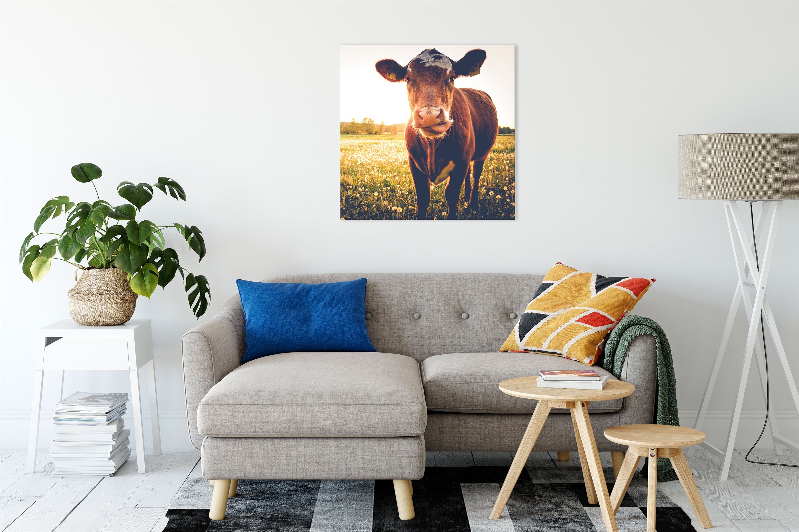 Pixxprint Leinwandbild Kuh auf Zackenaufhänger St), (1 bespannt, fertig Kuh Leinwandbild auf Butterblumenwiese Butterblumenwiese, inkl