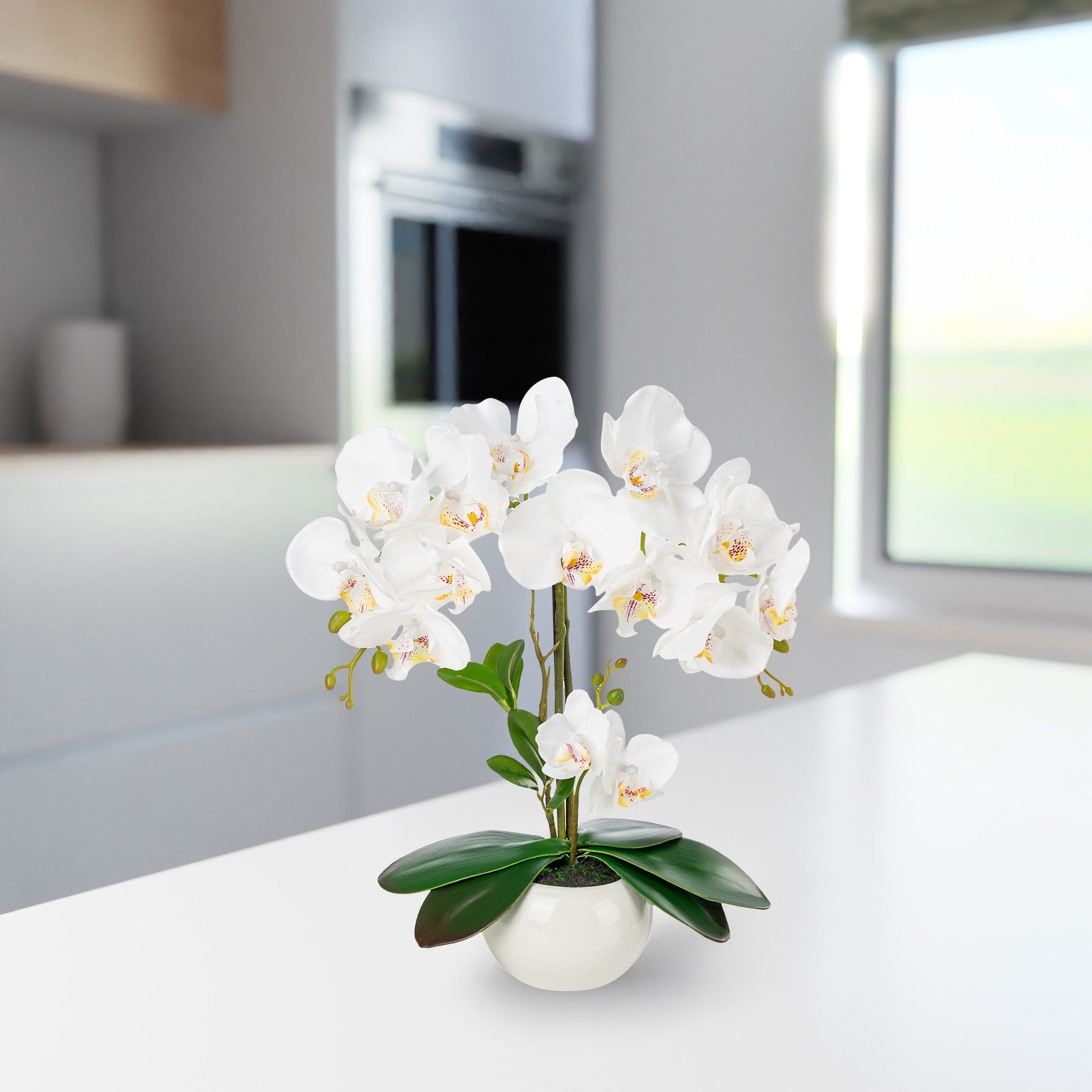 Kunstorchidee PASCH® Orchidee künstlich wie echt (40cm) in Hochglanz-Keramiktopf Orchidee, PASCH