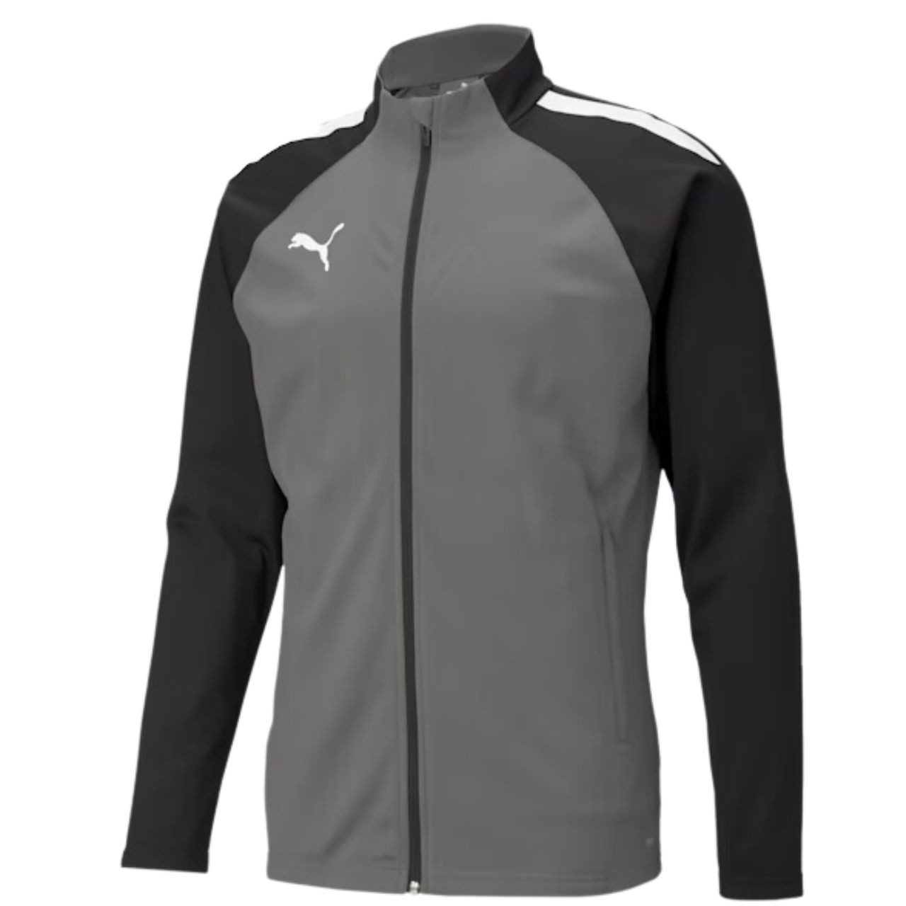 PUMA Sweatshirt Puma teamLIGA