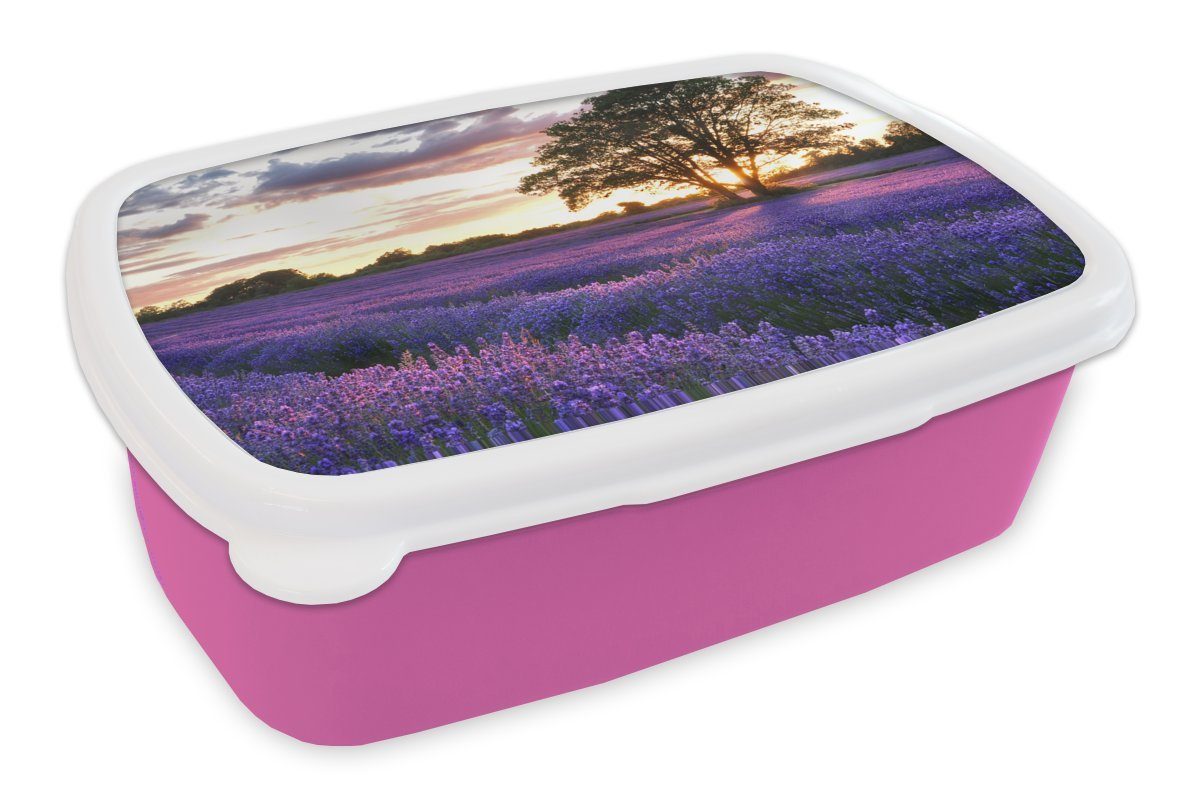 MuchoWow Lunchbox Sommerabendlicher Sonnenuntergang über einem Feld mit Bio-Lavendel in, Kunststoff, (2-tlg), Brotbox für Erwachsene, Brotdose Kinder, Snackbox, Mädchen, Kunststoff rosa